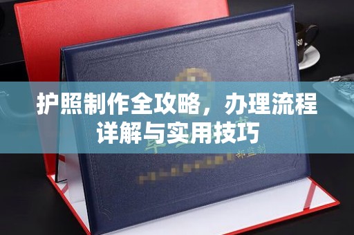 盐池护照制作全攻略，办理流程详解与实用技巧